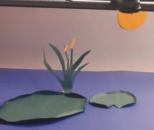 Ponto MIS de Ilhabela oferece oficina “Animação Stop Motion – Origami”