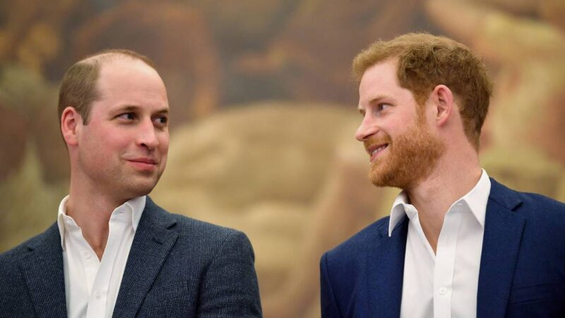 Príncipe William apoia título de rainha para Camilla, mas Harry ainda mantém silêncio