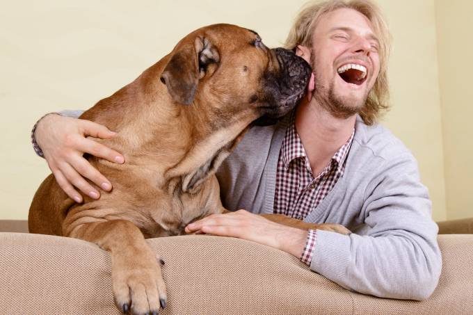 Pets ajudam seus donos a fazer novos amigos Segundo estudo científico