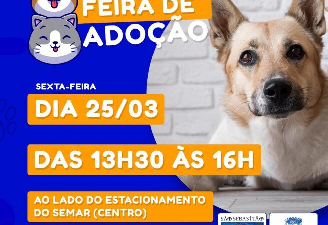 ESTA TARDE (25) NO CENTRO, PREFEITURA PROMOVE FEIRA DE ADOÇÃO DE CÃES E GATOS