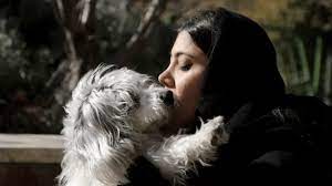 Passear com Pets pode dar cadeia em Teerã capital do Irã
