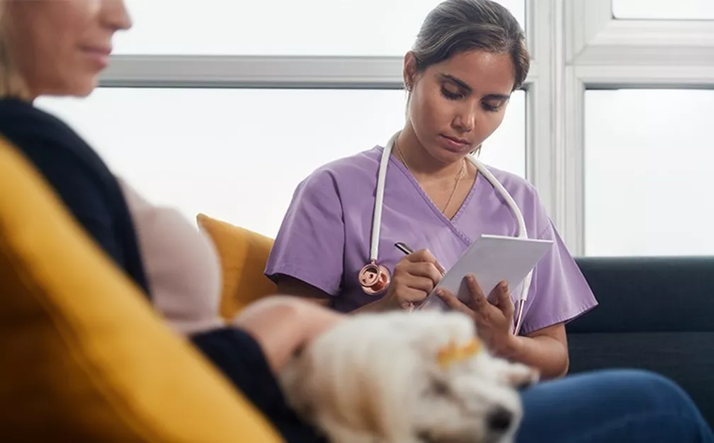 10 perguntas importantes para você fazer na primeira consulta do seu pet