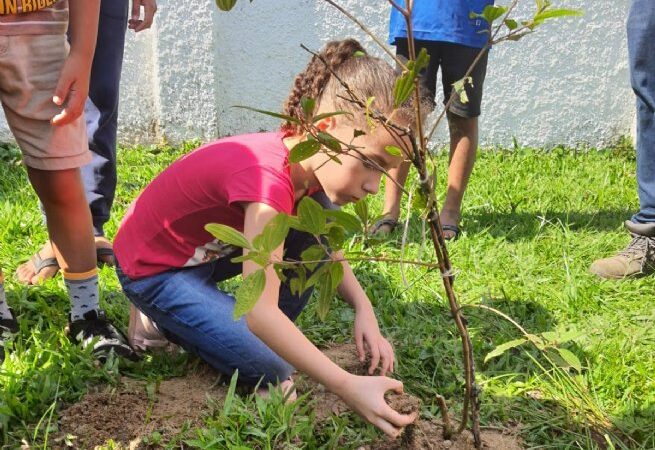 Comemoração do Dia da Árvore com plantio de mudas de espécies nativas