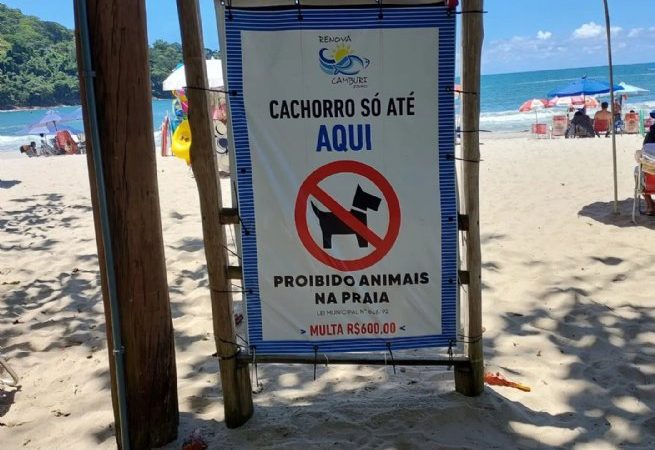 Algumas razões para proibição de cachorros na praia