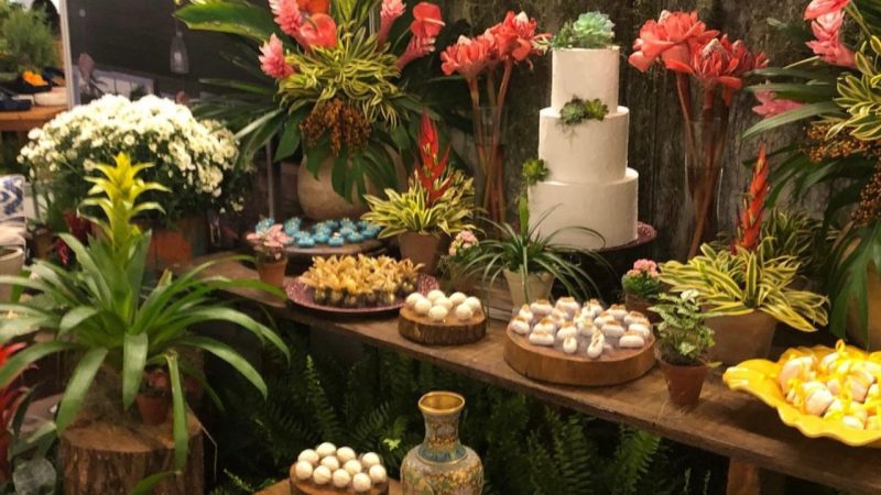 Casar Week: Ilhabela está participando da maior feira de casamentos do Litoral Norte