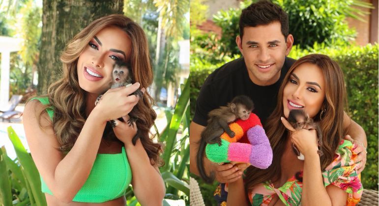 Nicole Bahls ganha dois filhotes de macaco do namorado