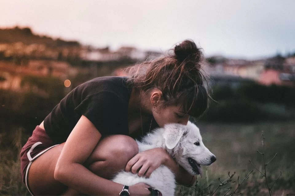 Cachorro gosta de beijo?