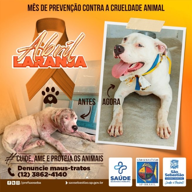 Colabore!