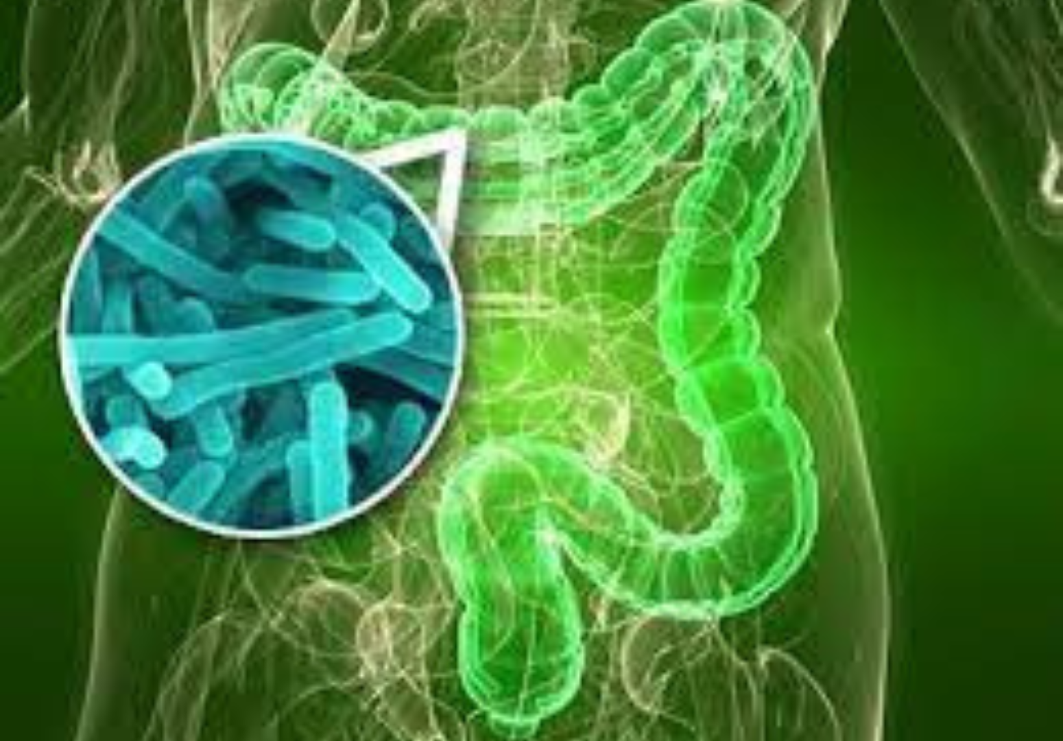 O segredo para uma vida saudável: A importância da microbiota intestinal