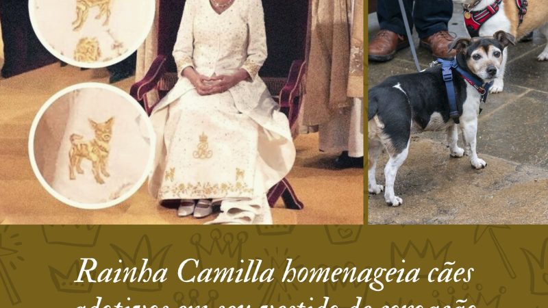 Rainha Camilla homenageia cães adotivos em seu vestido de coroação