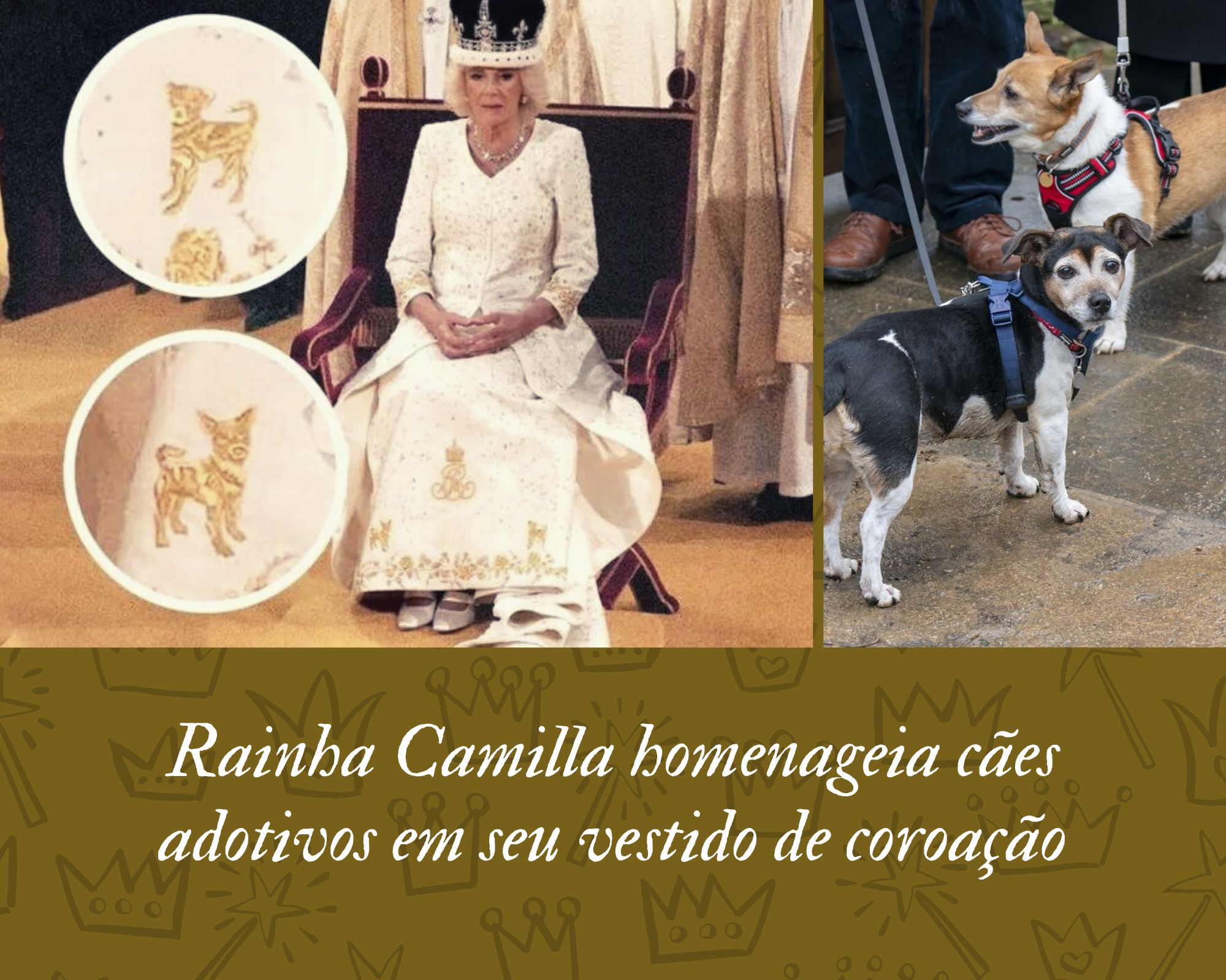 Rainha Camilla homenageia cães adotivos em seu vestido de coroação