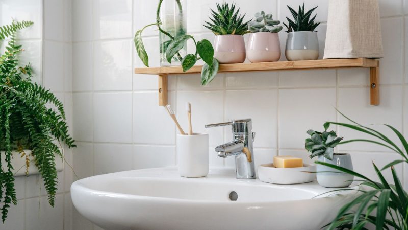 Plantas para o Banheiro: Purificando o Ar e Criando um Ambiente Saudável