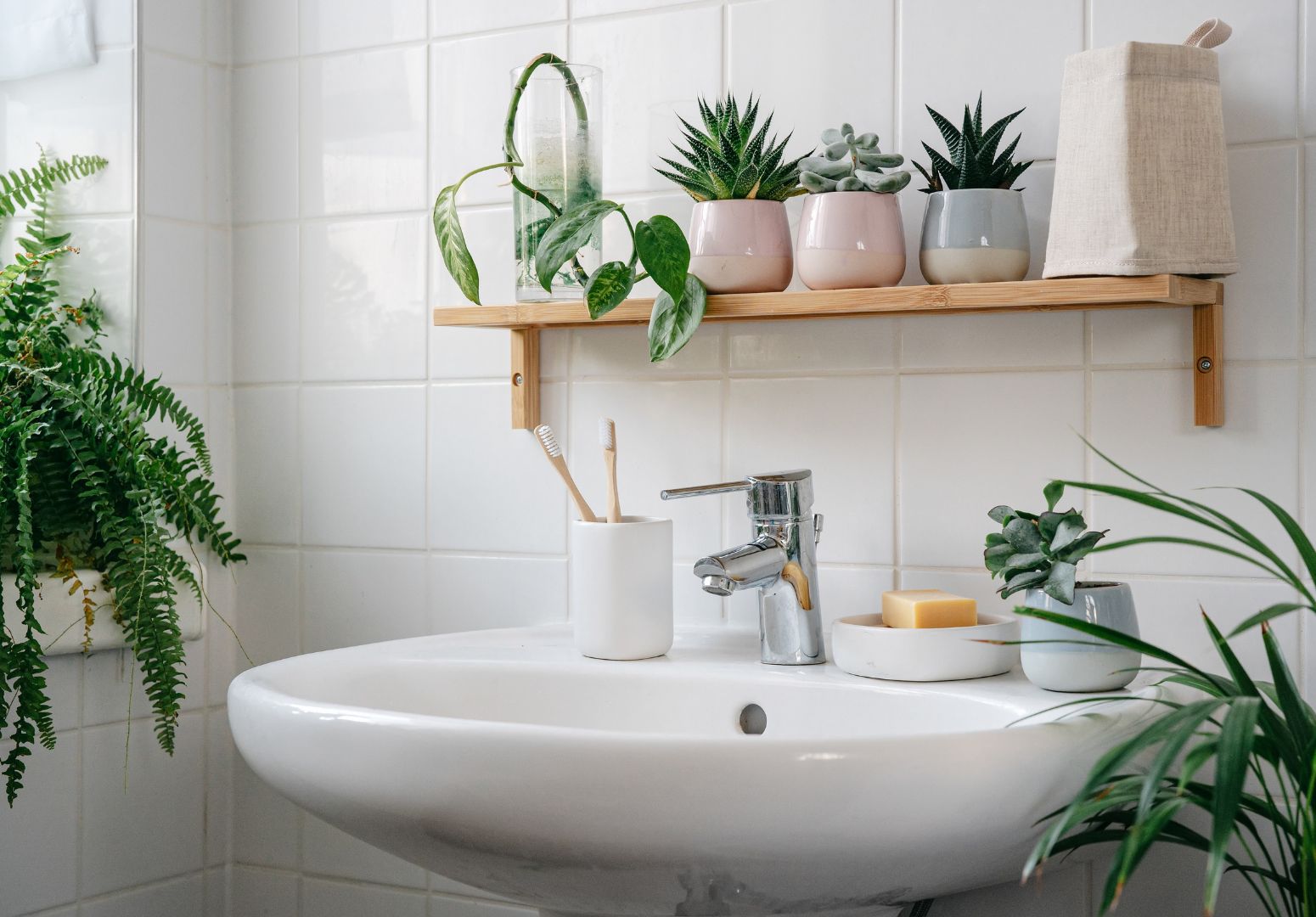 Plantas para o Banheiro: Purificando o Ar e Criando um Ambiente Saudável