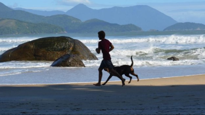Prefeitura de São Sebastião aumenta valor da multa para quem leva animais à praia