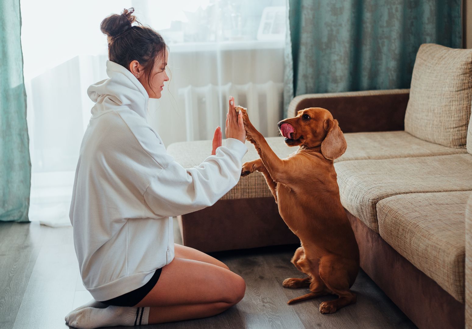 Os benefícios terapêuticos dos animais de estimação para a nossa saúde mental