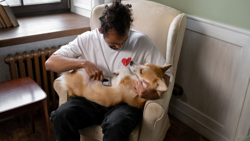7 Dicas Divertidas para Manter Seu Pet Limpinho e Cheiroso!