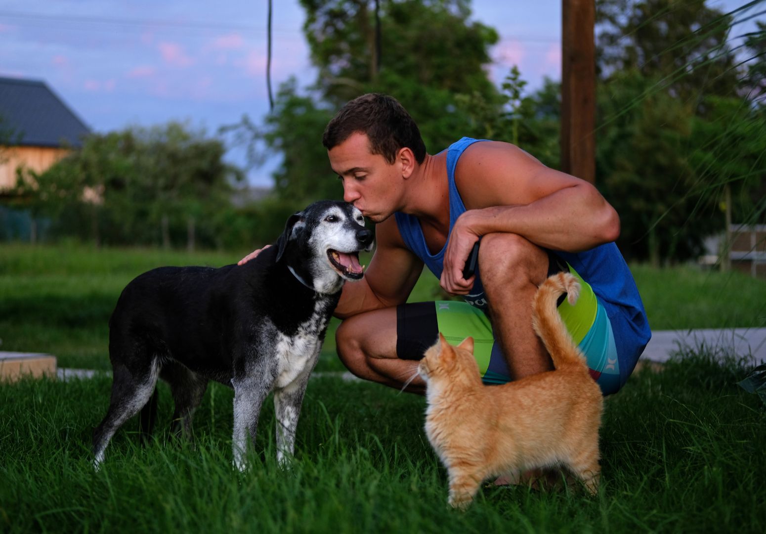 Como os cães expressam afeto na linguagem canina