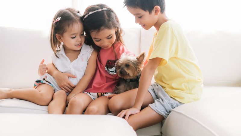 Pets e Crianças: Construindo um relacionamento saudável