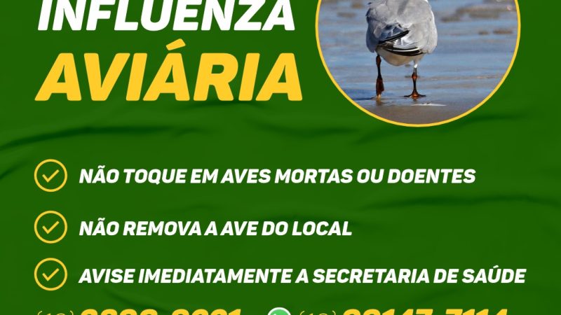 lhabela reforça orientação de não tocar em aves