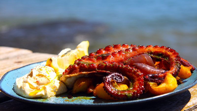 lhabela ganha edição do festival gastronômico Sabores da Praia com pratos criativos e acessíveis