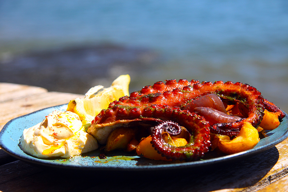 lhabela ganha edição do festival gastronômico Sabores da Praia com pratos criativos e acessíveis
