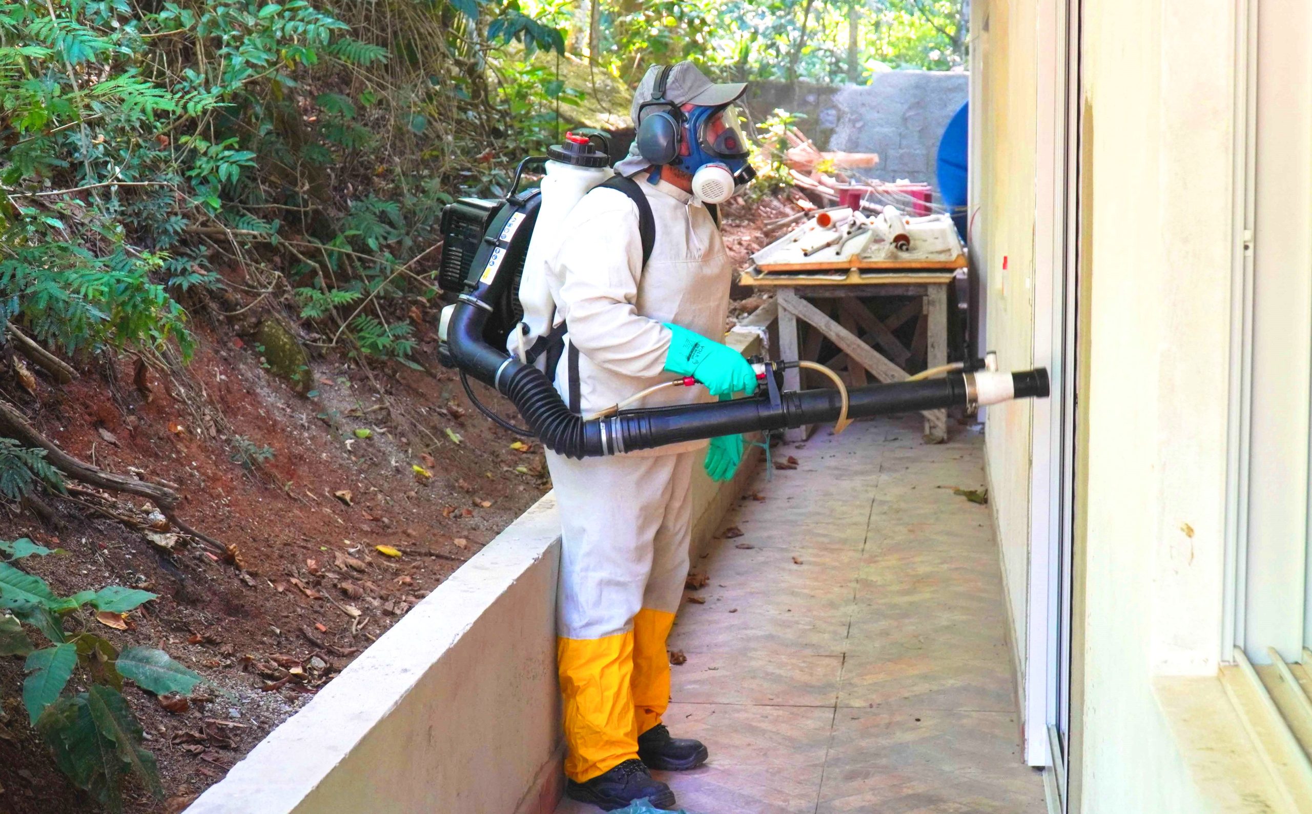 Combate à dengue em Ilhabela é intensificado após aumento de casos do tipo 3 no Estado