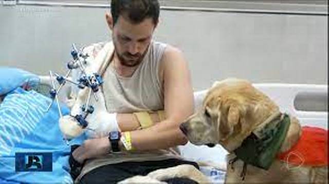 Cães ajudam na recuperação de soldados israelenses feridos em combate