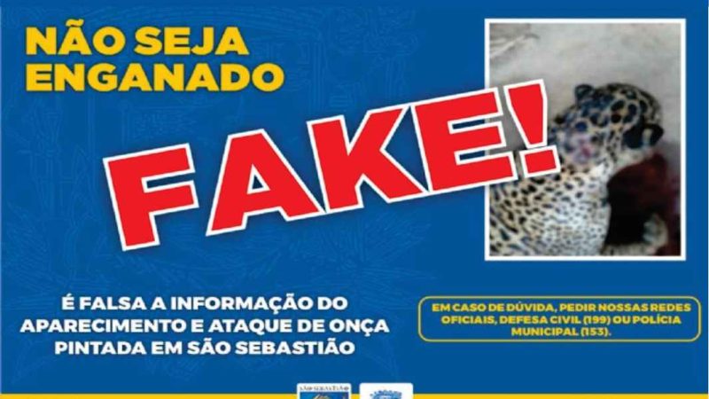 Alerta para Fake News sobre aparecimento de onça pintada