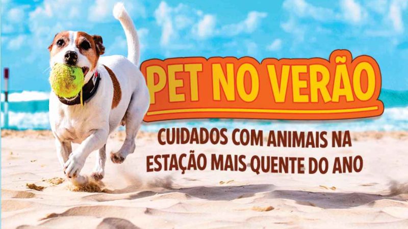 Cuidados com os pets no verão