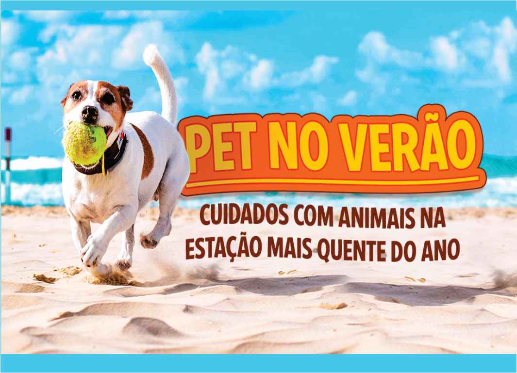 Cuidados com os pets no verão