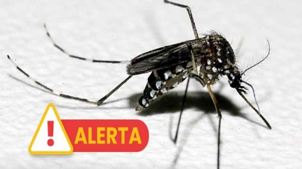 Casos de dengue aumentam em Caraguatatuba