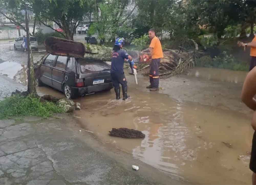 Chuva em Ubatuba registra alagamento e queda de árvores