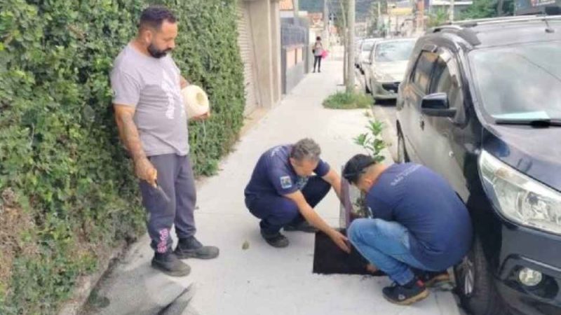 Vila Amélia recebe plantio de espécies nativas em ação do Programa de Arborização Urbana