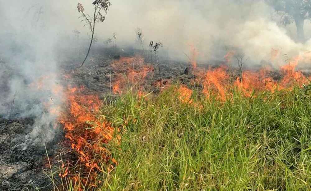 Defesa Civil de São Sebastião alerta para riscos de queimadas neste período seco