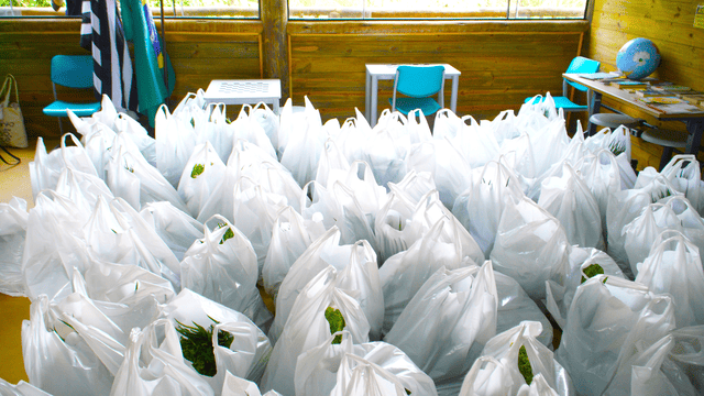 Projeto Cesta Verde contempla famílias de Castelhanos
