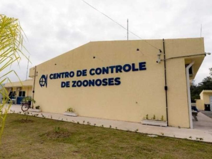 São Sebastião inicia serviço gratuito de microchipagem de animais de grande porte
