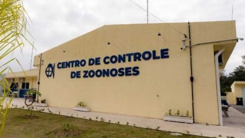 São Sebastião inicia serviço gratuito de microchipagem de animais de grande porte
