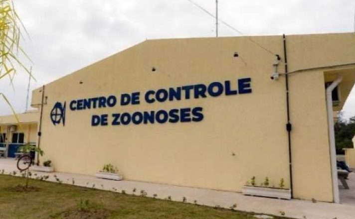 São Sebastião inicia serviço gratuito de microchipagem de animais de grande porte