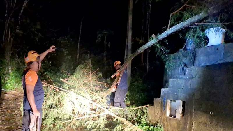 Defesa Civil de Ilhabela apresenta balanço das ocorrências após chuva e ventos fortes