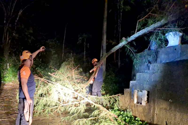 Defesa Civil de Ilhabela apresenta balanço das ocorrências após chuva e ventos fortes